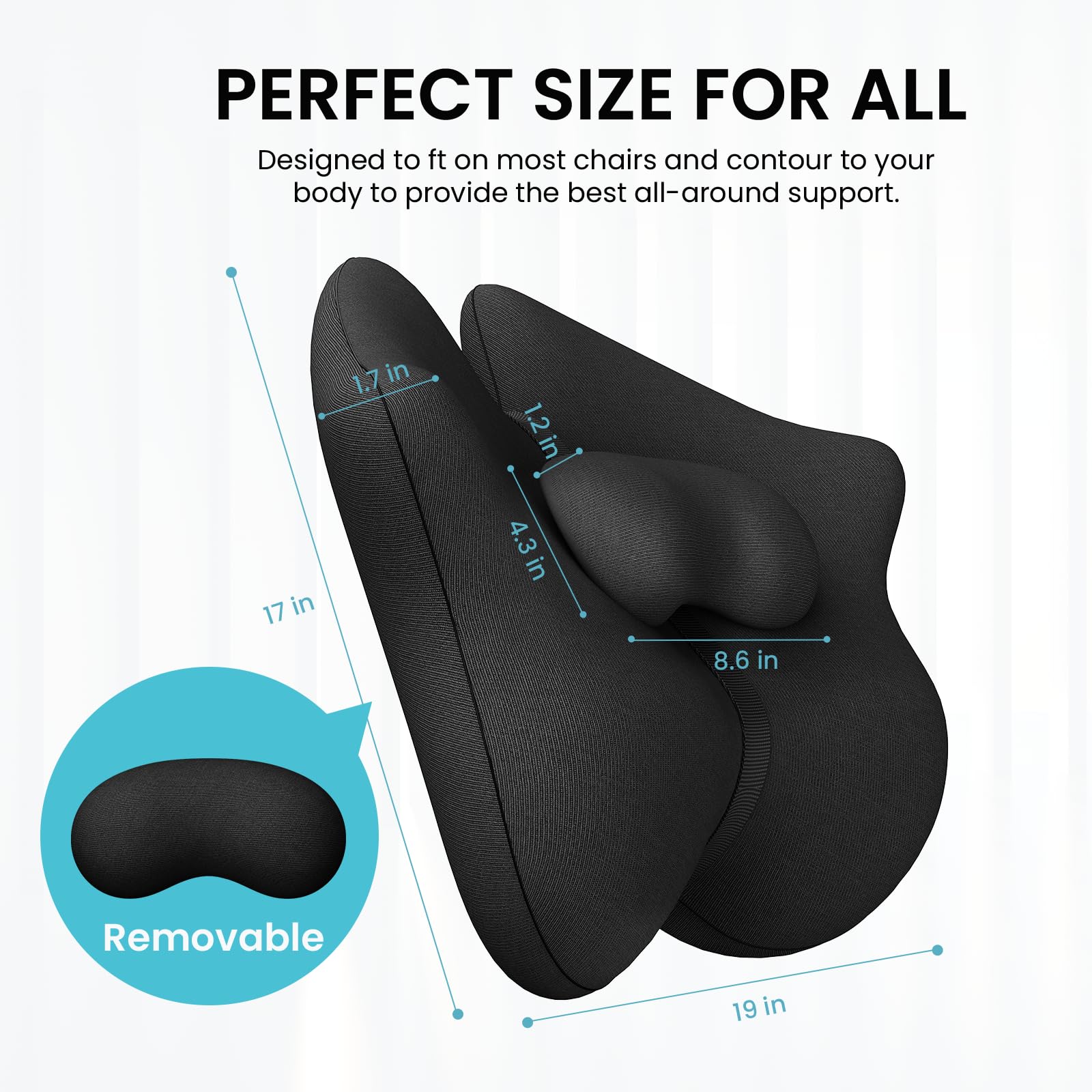 Adjustable Lumbar Support Pillow,Improve Lower Back PainRelief & Sitting Posture, Adjustable Slider, Ergonomic Memory Foam Back Cushion for Long Sitting for Office Chair/Car/Plane-Black